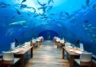 A Taste of the Maldives: Dine at the Best Maldivian Restaurants in Dubai