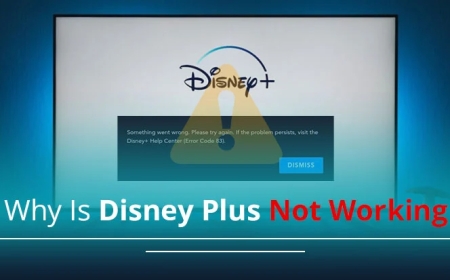 Why Is Disney Plus Not Working? Troubleshooting Disney Plus