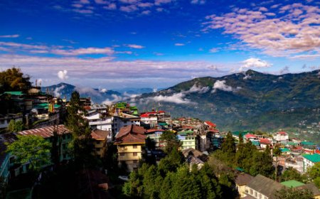 Darjeeling Tour Packages under 10000: Affordable Hill Escape