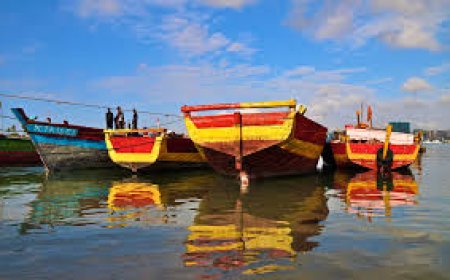 Best shikara boat Alleppey