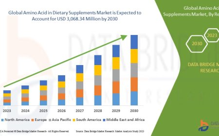 Amino Acid in Dietary Supplements Market Graph: Growth, Share, Value, Insights, and Trends