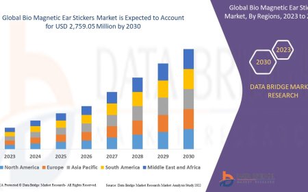 Bio Magnetic Ear Stickers Market Graph: Growth, Share, Value, Insights, and Trends