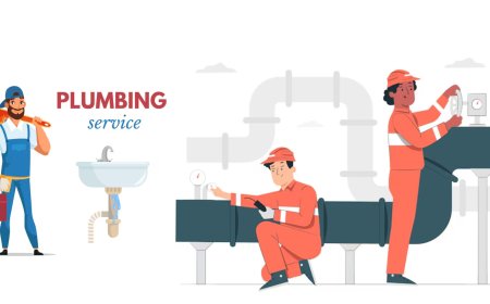 The Complete Guide to Phoenix Plumbing: Reliable Solutions for Arizona Homes and Businesses