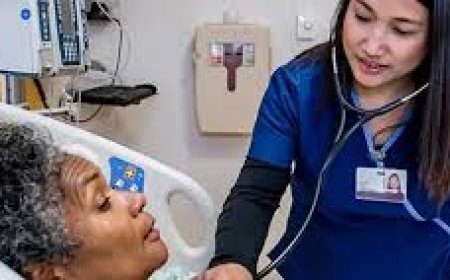 Handling the Academic Supports Requirements of MSN & NURS FPX for Capella Students