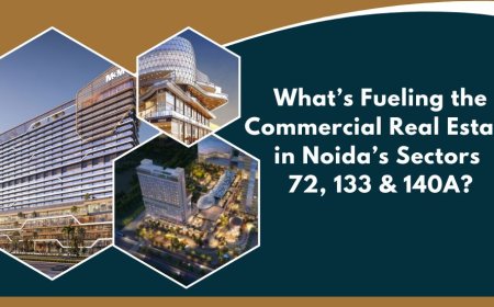 What’s Fueling the Commercial Real Estate in Noida’s Sectors 72, 133 & 140A?