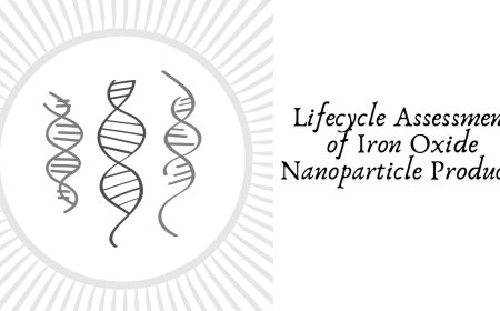 Lifecycle Assessment of Iron Oxide Nanoparticle Products