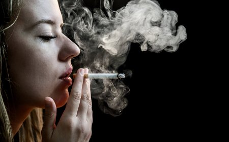 Switching to Rolling Tobacco? Here’s How to Buy It Online in Australia