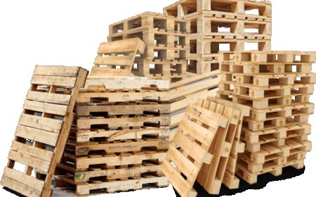 Sell Wood Pallets Efficiently: A Practical Guide for Maximum Profit
