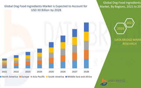 Dog Food Ingredients Market Size, Share, Trends, Key Drivers, Growth Opportunities and Competitive Outlook