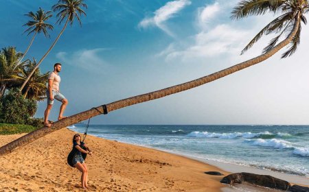 Love in Paradise: Best Months to Honeymoon in Sri Lanka