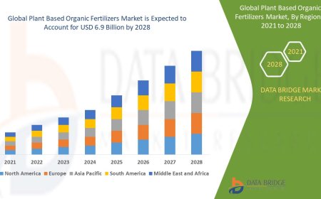 Plant Based Organic Fertilizers Market Size, Share, Trends, Key Drivers, Growth Opportunities and Competitive Outlook