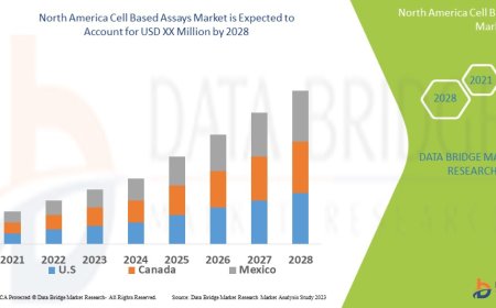North America Cell Based Assays Market Size, Share, Trends, Key Drivers, Growth Opportunities and Competitive Outlook
