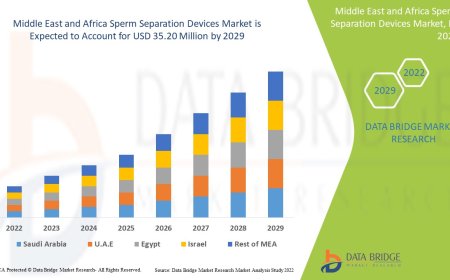 Middle East and Africa Sperm Separation Devices Market Size, Share, Trends, Demand, Growth, Challenges and Competitive Outlook