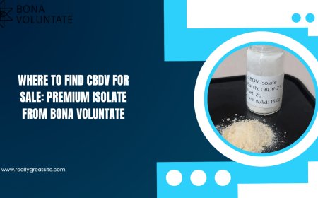 Where to Find CBDV for Sale: Premium Isolate from Bona Voluntate