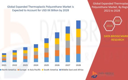 Expanded Thermoplastic Polyurethane Market Size, Share, Trends, Demand, Growth, Challenges and Competitive Outlook