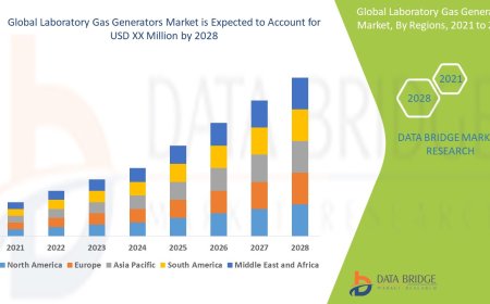 Laboratory Gas Generators Market Size, Share, Trends, Key Drivers, Demand and Opportunity Analysis