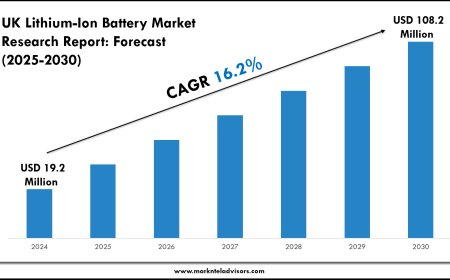 UK Lithium-Ion Battery Industry Analysis 2025–2030: Market Insights & Forecast