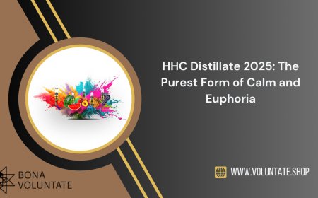 HHC Distillate 2025: The Purest Form of Calm and Euphoria