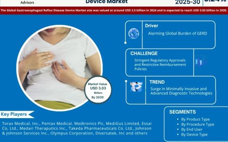 Gastroesophageal Reflux Disease (GERD) Device Future Business Opportunities 2025-2030 | orax Medical, Inc., Pentax Medical, Medtronics Plc, MediGus Limited, Essai Co, and others