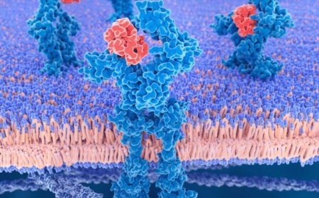 Choosing the Right Cytokine Assay for Your Study