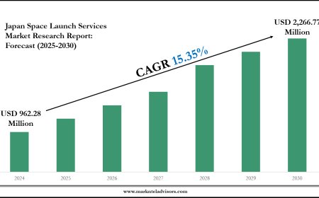 Japan Space Launch Services Industry Share, Size, and Competitive Landscape 2030