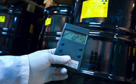 Radiation Dose Management Industry Analysis 2025–2030: Market Insights & Forecast