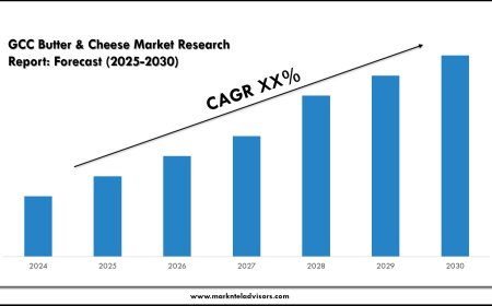 Latest GCC Butter & Cheese Market Trends, Drivers and Opportunities