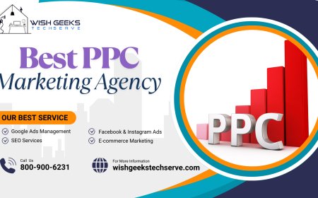 Best PPC Management Services in India for Google and Social Media Ads—Wish Geeks Techserve
