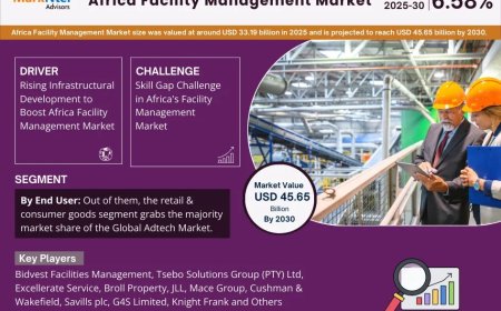 Africa Facility Management Market Analysis 2025–2030: Size, Share & Future Outlook