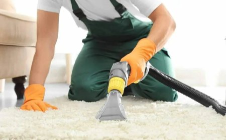 The Ultimate Guide to Carpet Repair Services: What You Need to Know