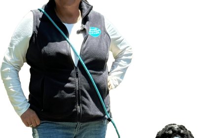 The Heart of the Home: Why Adult Dogs Are Truly Special