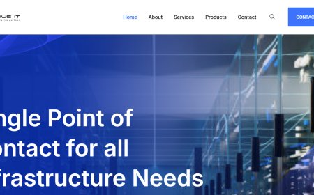 Save Money on IT Maintenance with Agrius IT