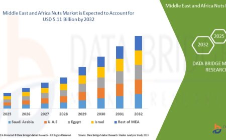 Middle East and Africa Nuts Market: Trends, Forecast, and Competitive Landscape