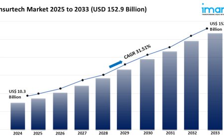 Insurtech Market Size, Share & Growth Analysis 2025-2033