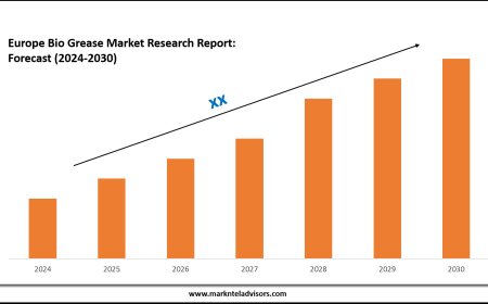 Latest Europe Bio Grease Market Trends, Drivers and Opportunities