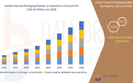 Hazmat Packaging Market: Trends and Growth Opportunities