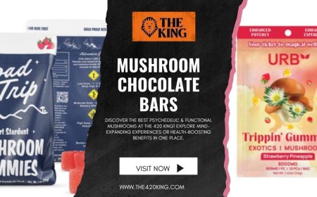 Mushroom Chocolate Bars: Florida’s Favorite Psychedelic Sweet Treat