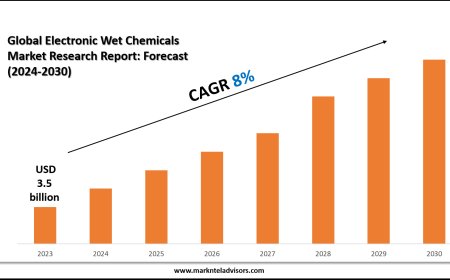 Electronic Wet Chemicals Market Size, Share and Competitive Insight Report 2030