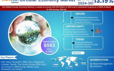 Circular Economy Market Analysis 2024–2030: Size, Share & Future Outlook